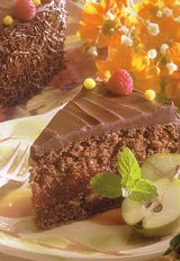 Gâteau au chocolat et aux canneberges